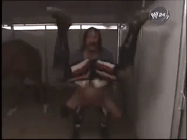 terry funk horse GIF
