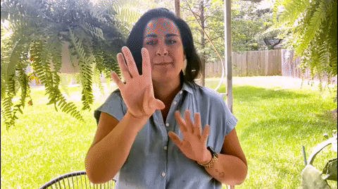 Asl Choose GIF