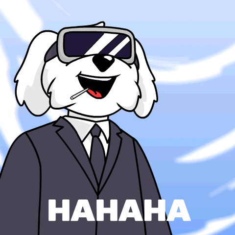 Ha Ha Ha No GIF by BoDoggos