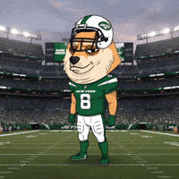New York Football GIF by Doge Pound