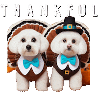 Dogs Thanksgiving Sticker by HammyandBrody