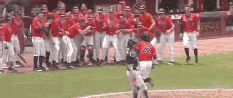 World Series Baseball GIF by NCAA Championships