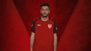 Stuttgart GIF by Bundesliga