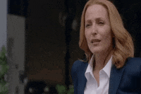 gillian anderson GIF by The X-Files