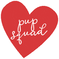 eddiethechihuahua dog friends puppy squad Sticker