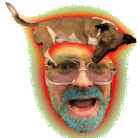 Happy Sausage Dog Sticker by ladypat