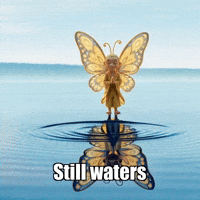 GIF by BuddhaFlyJourney