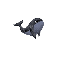 papirovamamaspk czech whale papirovamama velryba Sticker