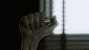 fox tv GIF by Gotham