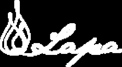 lapabrazilianbbq giphygifmaker lapabbq lapablink GIF