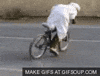 arab GIF