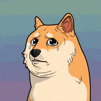 Sad Shiba Inu GIF by Doge Pound