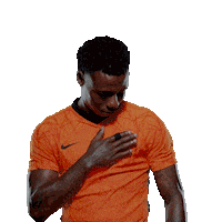 Nederlands Elftal Euro2020 Sticker by OnsOranje