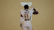 Georgia Tech Football Sport GIF by Georgia Tech Yellow Jackets