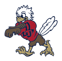 Flames Sticker by Liberty University