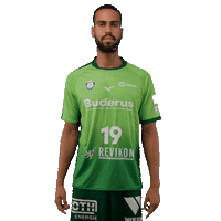 Handball Sticker by DAIKIN HBL