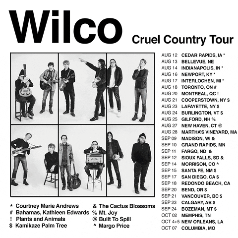 Cruel Country GIF by Wilco