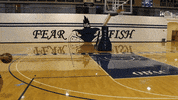 vwu_marlins marlins vwu wethebeach virginiawesleyan GIF