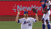 Celebration Wow GIF by New York Mets