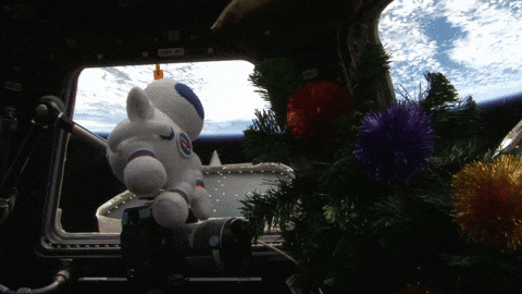 Zero Gravity Space GIF by NASA