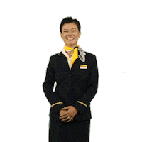 Crew Hello Sticker by Lufthansa Group Communications