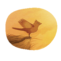 Flying Baby Animal Sticker by Chrissy Metz