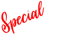 Special Edition Sticker