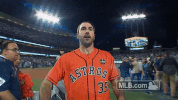 World Series Astros GIF by MLB