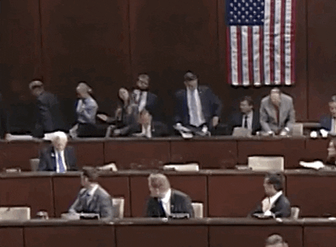 Lets Go Congress GIF by Chris Cimino