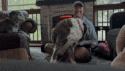 Happy Birthday Barney GIF by Summit Comedy, Inc.