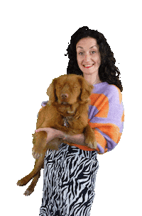 marioncremers love dance dog hello Sticker