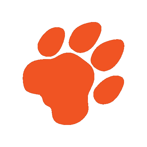 SuffieldAcademyTigers giphygifmaker tigers suffield suffieldacademy Sticker