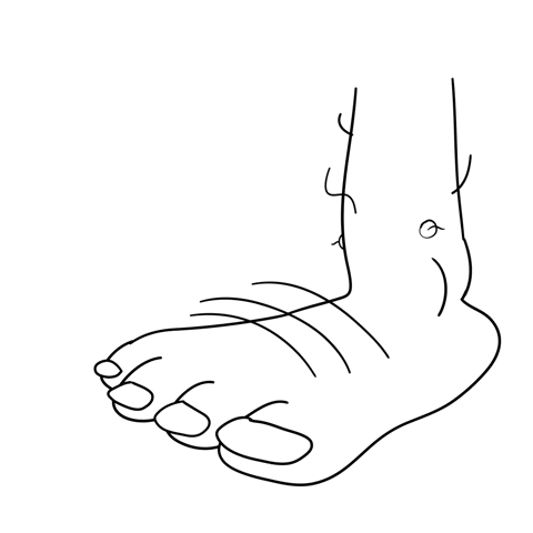 BrettDrawsStuff giphyupload wiggle feet foot GIF