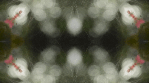 Art Love GIF by jorgemariozuleta