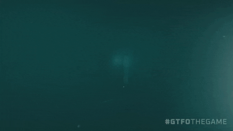 Let Me Love You Run GIF by GTFO