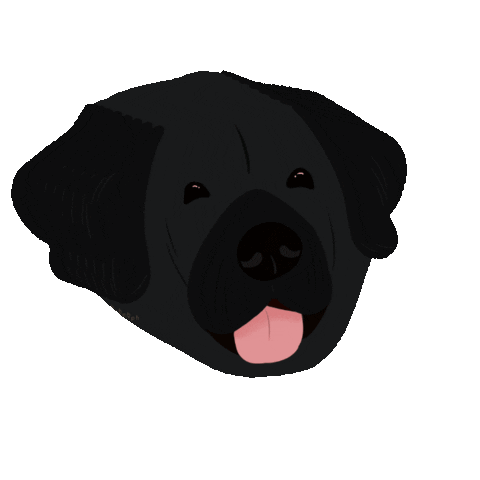 Dog Labrador Sticker