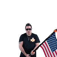 Usa Pepe Sticker by BOBO