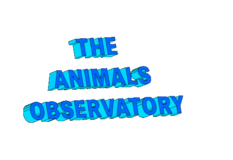 Sticker by The Animals Observatory