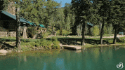 TheBroadmoor travel luxury hotel colorado GIF