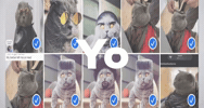 Yo Folk GIF