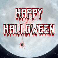 Spider Web Halloween GIF