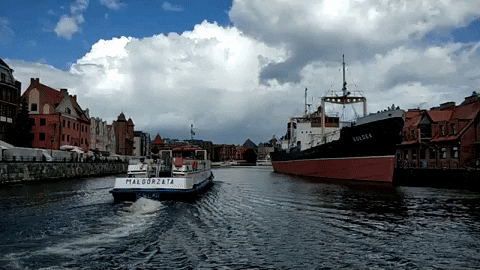 tonicove giphygifmaker gdansk motlawa GIF