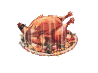 Angry Thanksgiving Sticker by HangryPetz