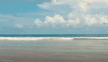 Lilo And Stitch Splash GIF by Walt Disney Studios