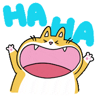 Cat Wow Sticker