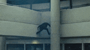 Adam Levine GIF by Maroon 5