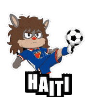 Fifa World Cup Football Sticker
