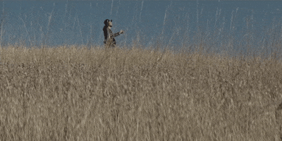 best friend eminem GIF