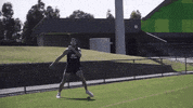 carlton fc celebration GIF by Carlton Football Club