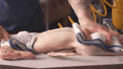 GIF by ChefSteps